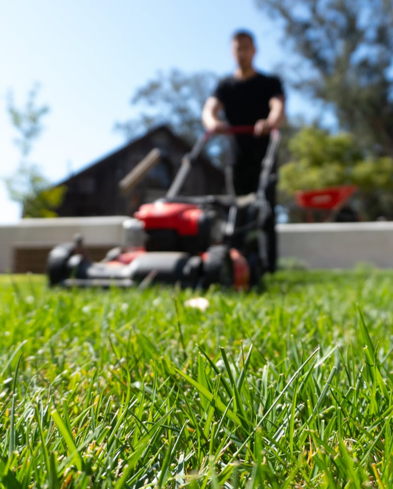 landscape-maintenance-30